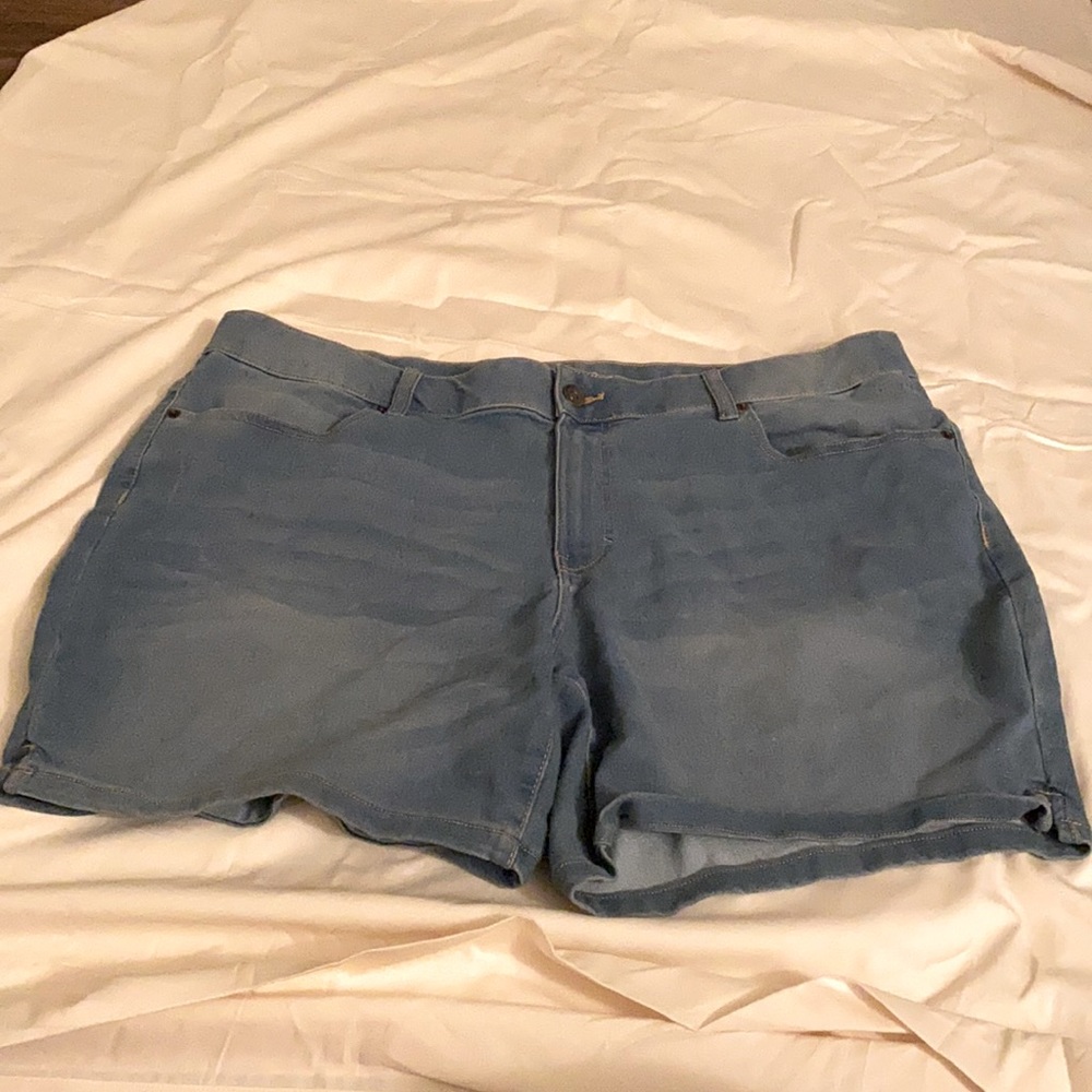 Terra & Sky 20W Jean Shorts